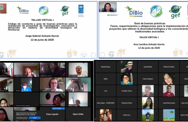 Primer Taller Virtual de Socialización y construcción de un Código de Conducta y Guía de Buenas Prácticas para Proyectos de Investigación, Innovación y Desarrollo sobre la Biodiversidad en Honduras