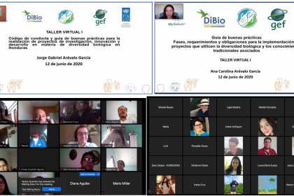 Primer Taller Virtual de Socialización y construcción de un Código de Conducta y Guía de Buenas Prácticas para Proyectos de Investigación, Innovación y Desarrollo sobre la Biodiversidad en Honduras Primer Taller Virtual de Socialización y construcción de un Código de Conducta y Guía de Buenas Prácticas para Proyectos de Investigación, Innovación y Desarrollo sobre la Biodiversidad en Honduras