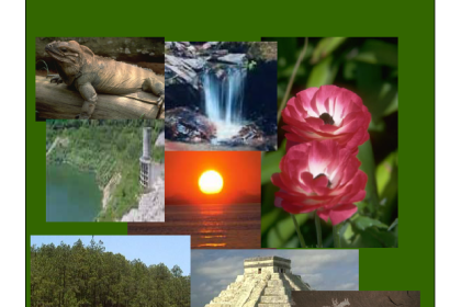 Estrategia Nacional de Bienes y Servocops