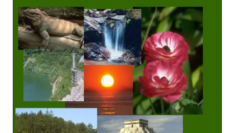 Estrategia Nacional de Bienes y Servocops