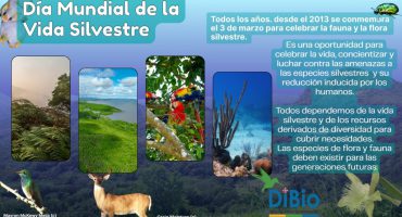 DiBio - Dia mundial de la vida silvestre- Hancel Borjas.jpg