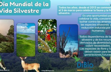 DiBio - Dia mundial de la vida silvestre- Hancel Borjas.jpg