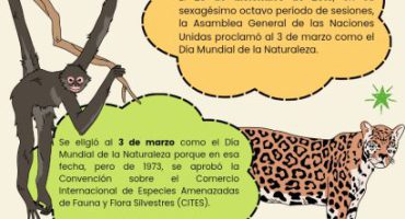 Infografía Día Mundial de la Naturaleza_20260303_114029_0000.jpg