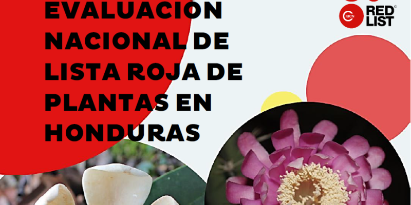 Informe Evaluación de Lista roja de plantas en Honduras. V17-6-2025