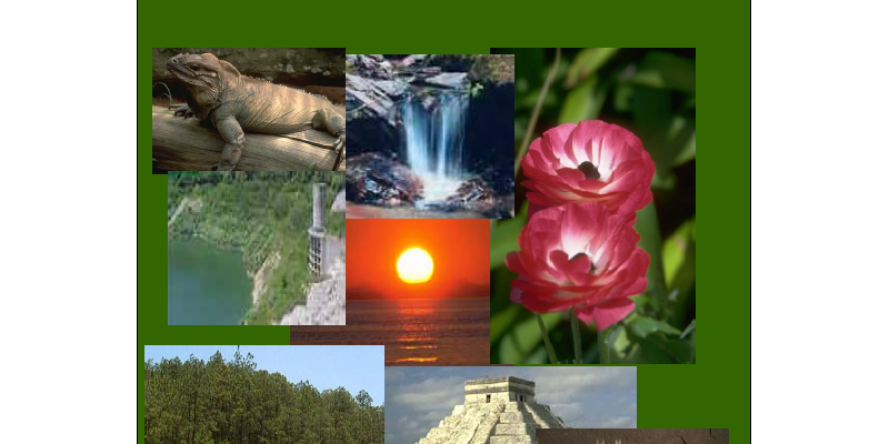 ESTRATEGIA NACIONAL DE BIENES Y SERVICIOS AMBIENTALES