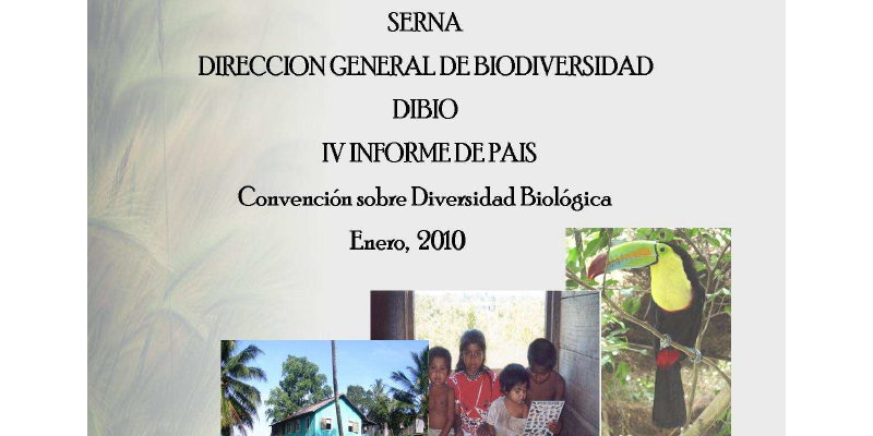 IV Informe Nacional